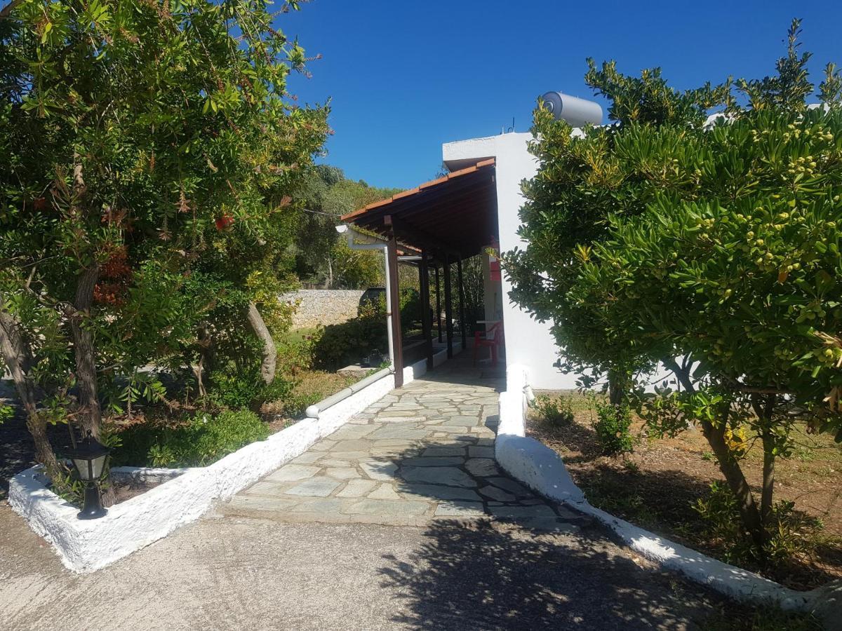 Kaiti 1 * Κουκουναριές