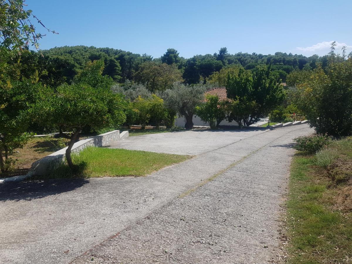 Kaiti 1 * Κουκουναριές